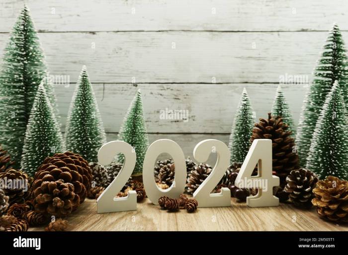 Christmas tree decoration ideas 2024